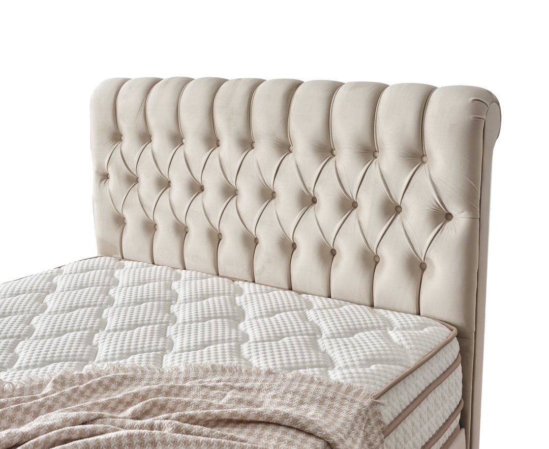 GOLD LUX Matters, High-Quality - MOOAZAA 